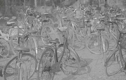 Иллюстрация к книге — Живая цифра. Книга о цвете, или Как заставить дышать цифровую фотографию [i_197.jpg]