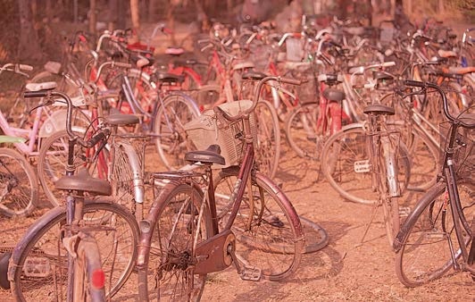 Иллюстрация к книге — Живая цифра. Книга о цвете, или Как заставить дышать цифровую фотографию [i_203.jpg]