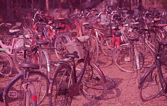 Иллюстрация к книге — Живая цифра. Книга о цвете, или Как заставить дышать цифровую фотографию [i_214.jpg]