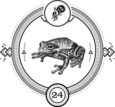 Иллюстрация к книге — Пандемониум. 3. Кодекс вещих сестер [i_025.jpg]