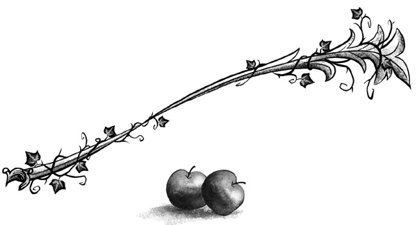 Иллюстрация к книге — Принесите мне голову. Айви Покет [block_00135225.jpg]