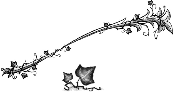 Иллюстрация к книге — Принесите мне голову. Айви Покет [block_001352343.jpg]