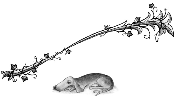 Иллюстрация к книге — Принесите мне голову. Айви Покет [block_00135239.jpg]