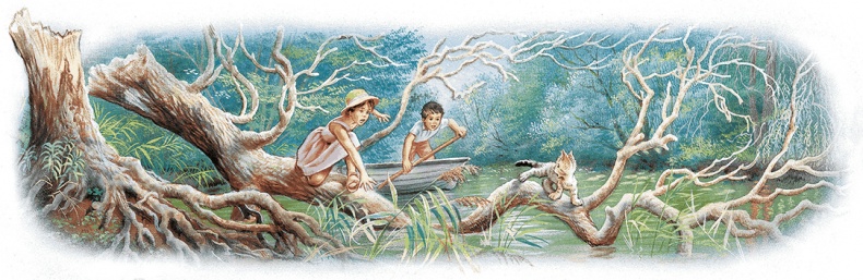 Иллюстрация к книге — Удивительные приключения Маруси [i2_023.jpg]