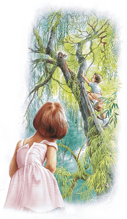 Иллюстрация к книге — Удивительные приключения Маруси [i2_025.jpg]