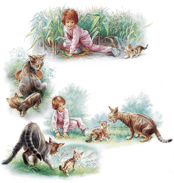 Иллюстрация к книге — Удивительные приключения Маруси [i2_029.jpg]