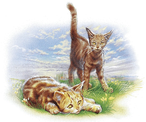 Иллюстрация к книге — Удивительные приключения Маруси [i2_030.jpg]