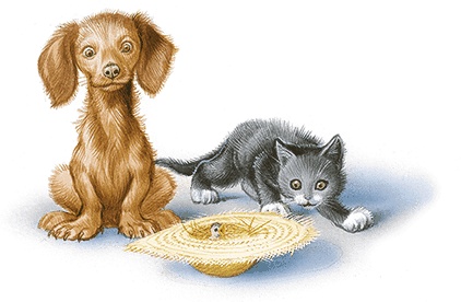 Иллюстрация к книге — Удивительные приключения Маруси [i2_043.jpg]