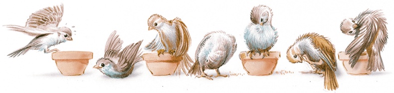 Иллюстрация к книге — Удивительные приключения Маруси [i2_046.jpg]