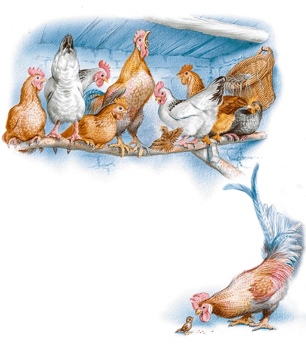 Иллюстрация к книге — Удивительные приключения Маруси [i2_047.jpg]