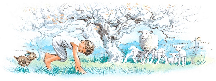 Иллюстрация к книге — Удивительные приключения Маруси [i3_005.jpg]