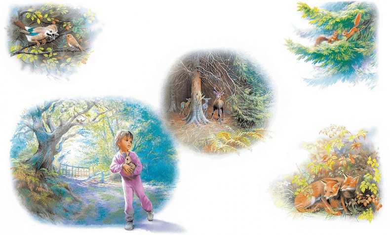 Иллюстрация к книге — Удивительные приключения Маруси [i3_010.jpg]