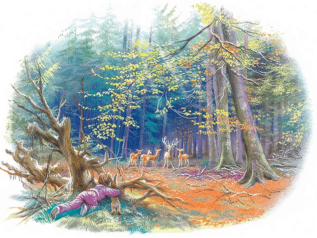 Иллюстрация к книге — Удивительные приключения Маруси [i3_019.jpg]