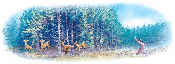 Иллюстрация к книге — Удивительные приключения Маруси [i3_020.jpg]