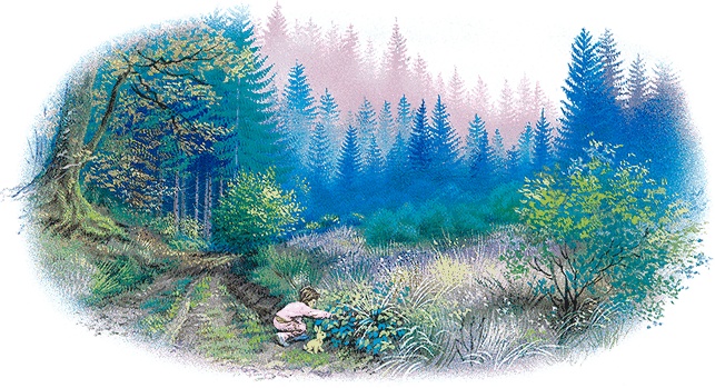 Иллюстрация к книге — Удивительные приключения Маруси [i3_022.jpg]