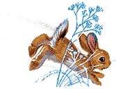 Иллюстрация к книге — Удивительные приключения Маруси [i3_026.jpg]