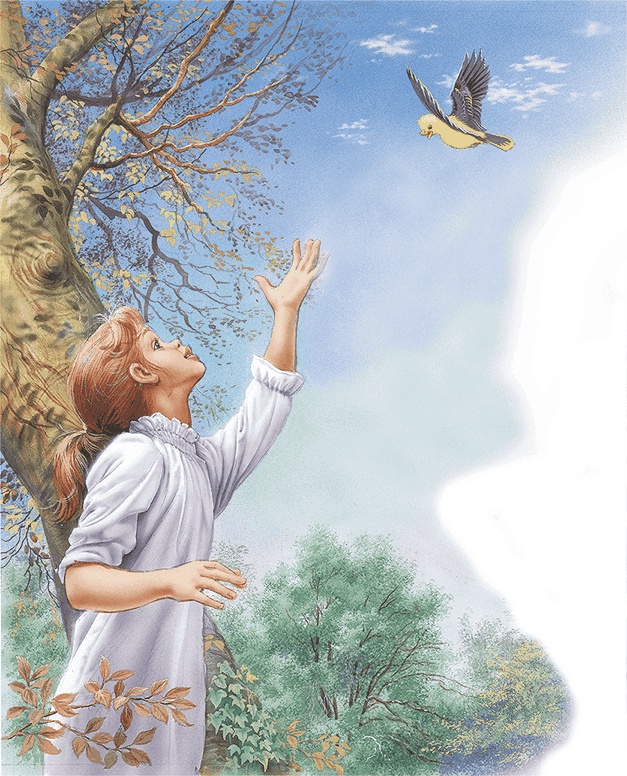 Иллюстрация к книге — Удивительные приключения Маруси [i4_049.jpg]