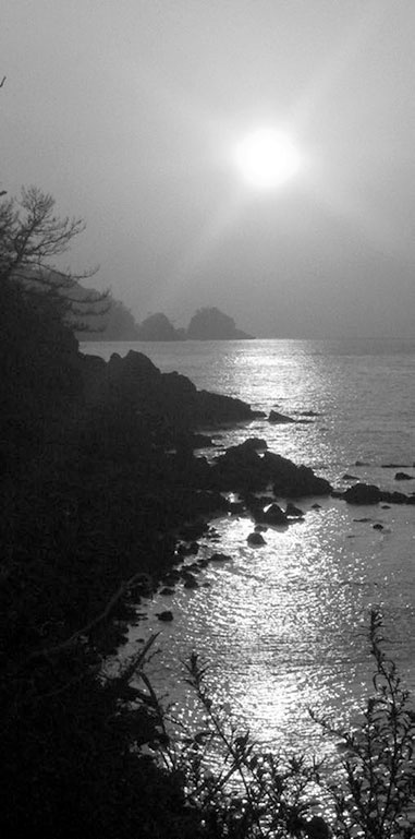 Иллюстрация к книге — Самураи. Первая полная энциклопедия [i_007.jpg]