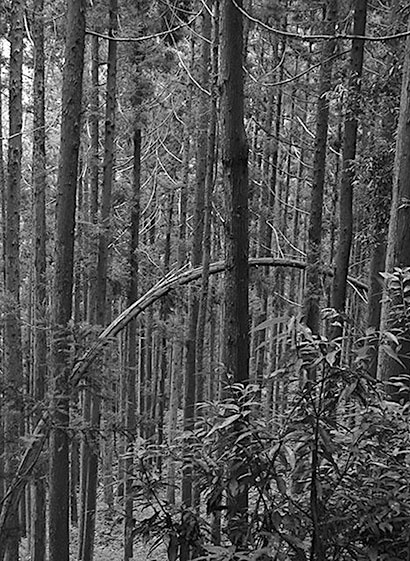 Иллюстрация к книге — Самураи. Первая полная энциклопедия [i_012.jpg]