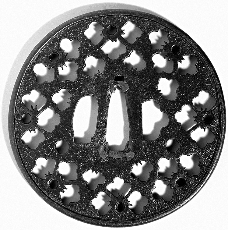 Иллюстрация к книге — Самураи. Первая полная энциклопедия [i_249.jpg]