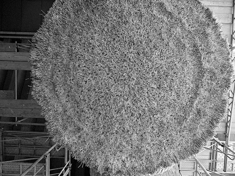 Иллюстрация к книге — Самураи. Первая полная энциклопедия [i_308.jpg]