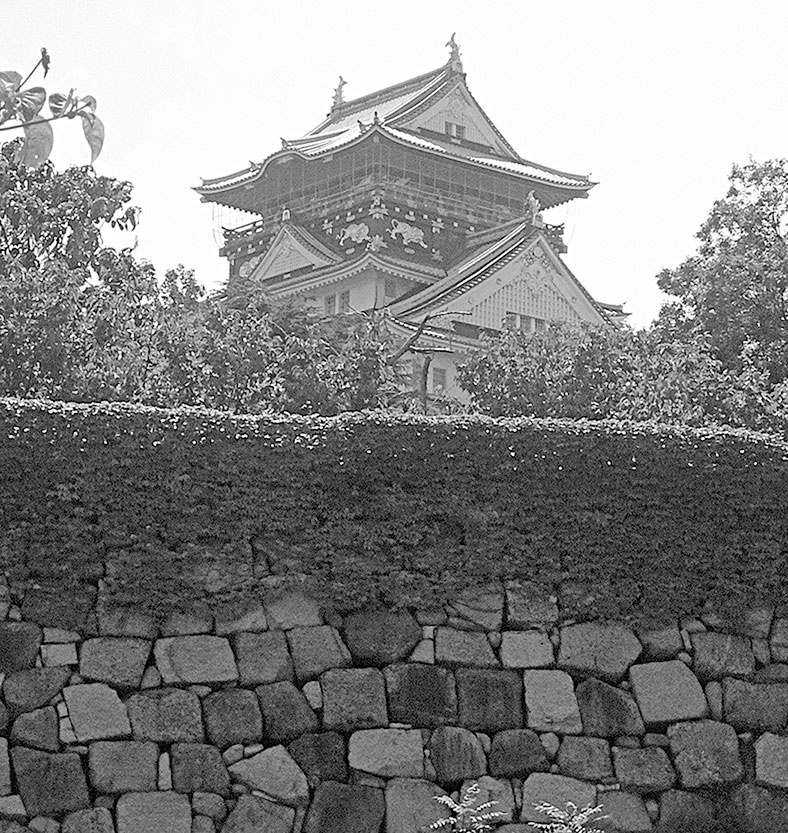 Иллюстрация к книге — Самураи. Первая полная энциклопедия [i_350.jpg]