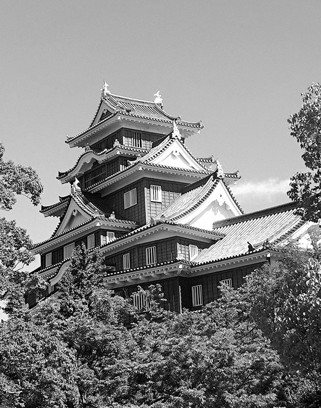 Иллюстрация к книге — Самураи. Первая полная энциклопедия [i_427.jpg]