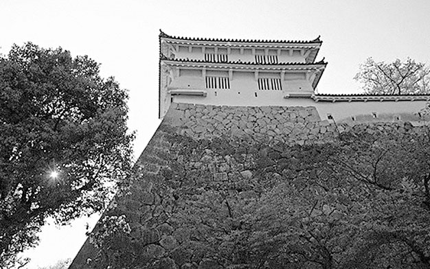 Иллюстрация к книге — Самураи. Первая полная энциклопедия [i_428.jpg]