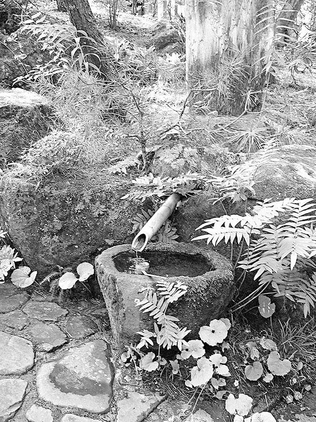 Иллюстрация к книге — Самураи. Первая полная энциклопедия [i_443.jpg]