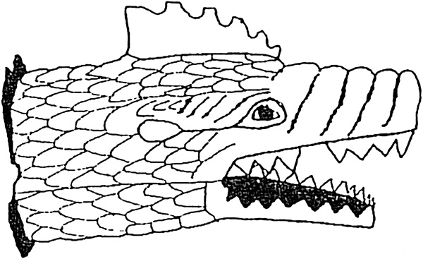 Иллюстрация к книге — Сарматы. Первая тяжелая конница степей [_219.jpg]