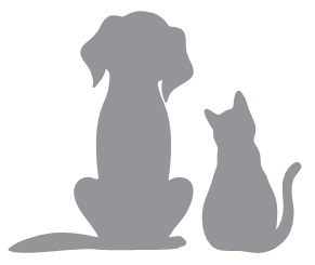 Иллюстрация к книге — Как сохранить здоровье и продлить активную жизнь. Отвечает 92-летний врач-геронтолог Ольга Мясникова [i_030.jpg]