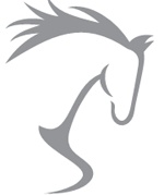 Иллюстрация к книге — Как сохранить здоровье и продлить активную жизнь. Отвечает 92-летний врач-геронтолог Ольга Мясникова [i_033.jpg]