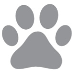 Иллюстрация к книге — Как сохранить здоровье и продлить активную жизнь. Отвечает 92-летний врач-геронтолог Ольга Мясникова [i_034.jpg]