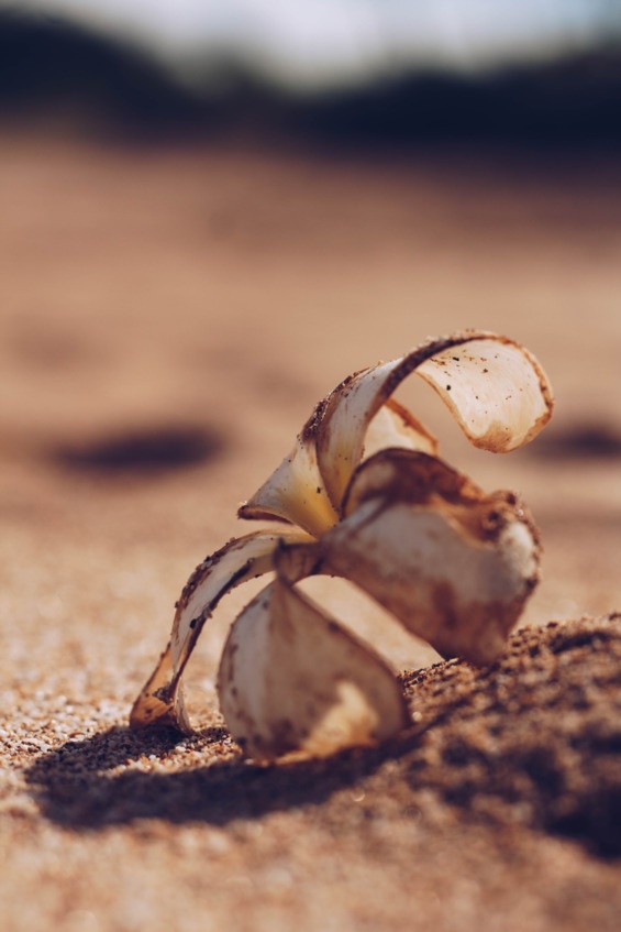 Иллюстрация к книге — Флакон счастья. Книга ароматов. Часть вторая. Парфюмерные истории [image29_5b5189a66e484f0f7a3445b7_jpg.jpg]