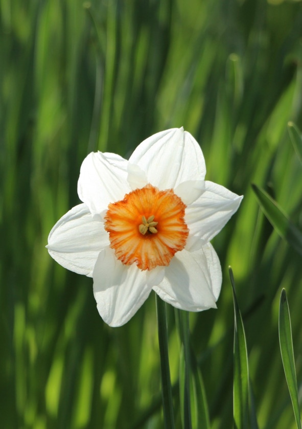 Иллюстрация к книге — Флакон счастья. Книга ароматов. Часть вторая. Парфюмерные истории [image32_5b5189946e484f0f7a3445ae_jpg.jpg]