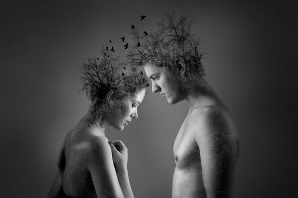 Иллюстрация к книге — Книга ароматов. Доверяй своему носу [image13_5a9aabf8c18ff40a3b94cfc5_jpg.jpg]