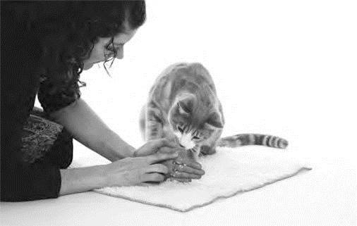 Иллюстрация к книге — Как воспитать вашу кошку [_10.jpg]