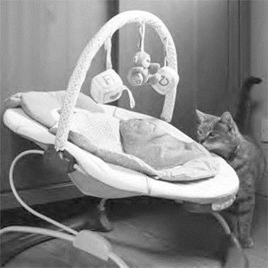 Иллюстрация к книге — Как воспитать вашу кошку [_18.jpg]