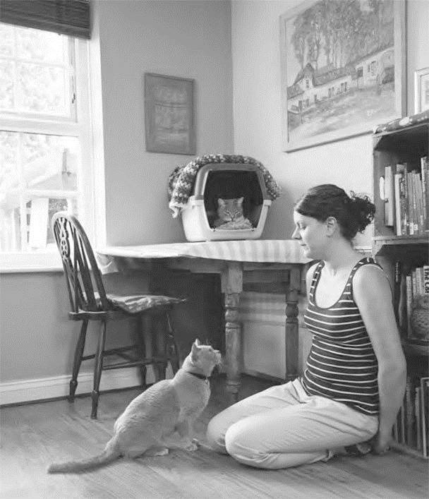 Иллюстрация к книге — Как воспитать вашу кошку [_23.jpg]