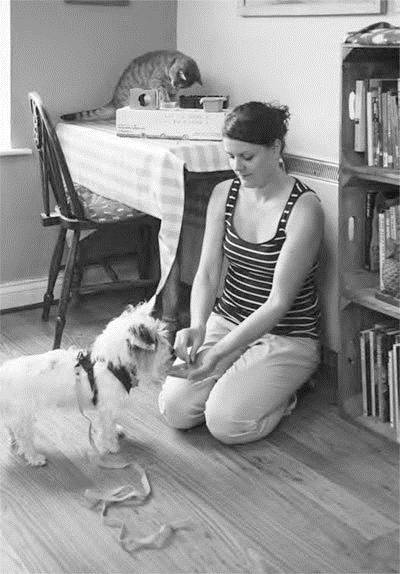 Иллюстрация к книге — Как воспитать вашу кошку [_26.jpg]