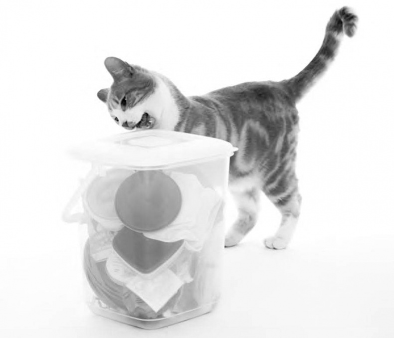 Иллюстрация к книге — Как воспитать вашу кошку [_6.jpg]