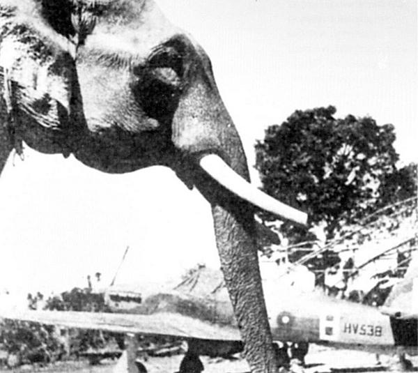 Иллюстрация к книге — «Ураганный» истребитель. «Харрикейны» в бою [i_180.jpg]