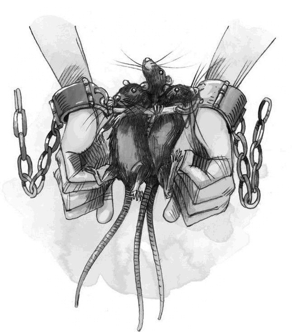 Иллюстрация к книге — Школа Добра и Зла. В поисках славы [i_029.jpg]