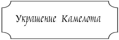 Иллюстрация к книге — Школа Добра и Зла. В поисках славы [i_041.jpg]