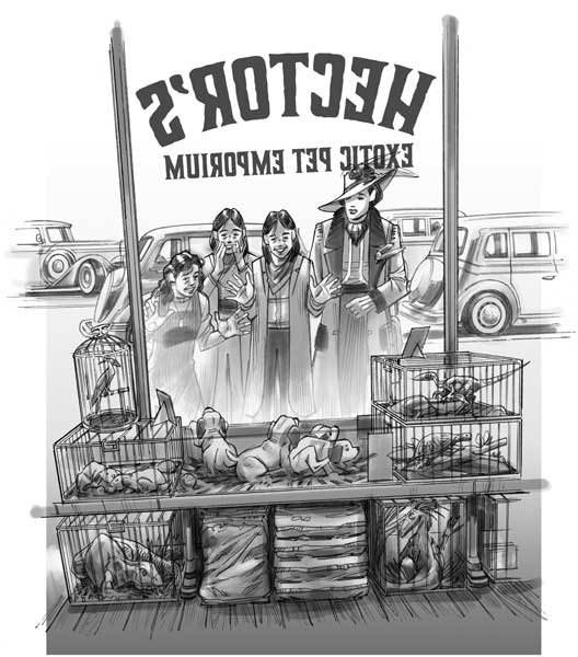 Иллюстрация к книге — Загадка города-призрака [i_030.jpg]