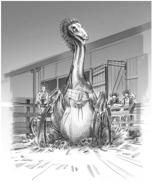 Иллюстрация к книге — Загадка города-призрака [i_057.jpg]