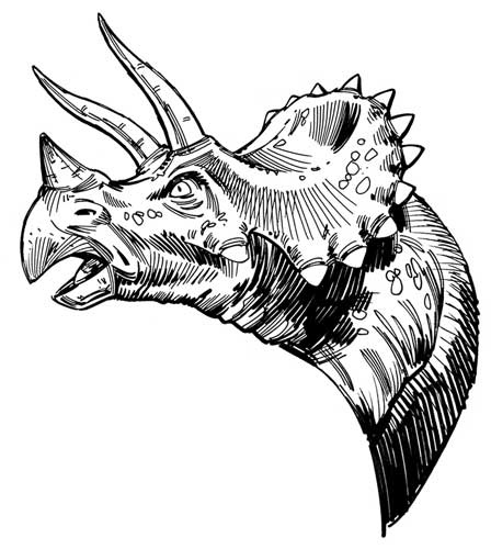 Иллюстрация к книге — Загадка города-призрака [i_075.jpg]