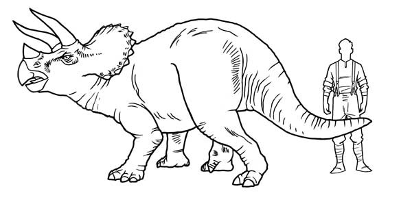 Иллюстрация к книге — Загадка города-призрака [i_079.jpg]