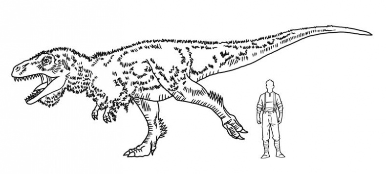 Иллюстрация к книге — Загадка города-призрака [i_081.jpg]