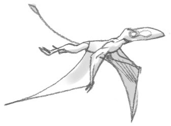 Иллюстрация к книге — Секрет рапторов [_046.jpg]